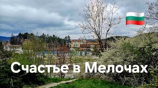 видео: Счастье в мелочах/ Прогулка по Велинграду#bulgaria #прогулка #путешествия картинка: Счастье в мелочах/ Прогулка по Велинграду#bulgaria #прогулка #путешествия