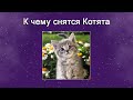 К чему снятся Котята – толкование сна по Соннику