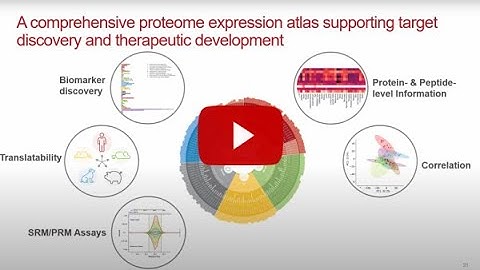 Proteoverse® Digital Proteome​ presented at ASMS 2025, Baltimore, by Sandra Schaer
