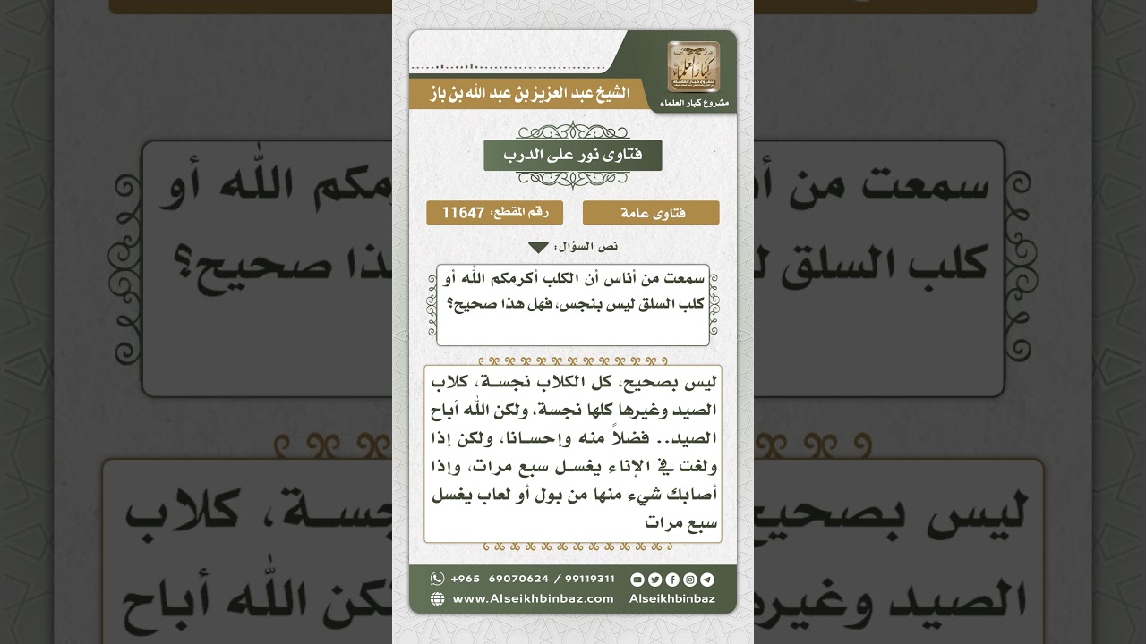 11647 - كل أنواع الكلاب نجسة - نور على الدرب