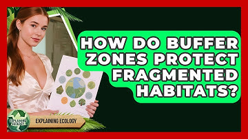 How Do Buffer Zones Protect Fragmented Habitats? - Explaining Ecology