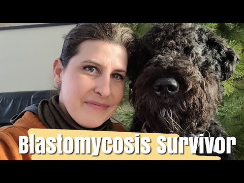 Video: Ce este hipotiroidismul la câini?