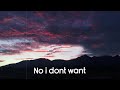 Shiloh Dynasty - No i don&#39;t want new remix (Lyrics)