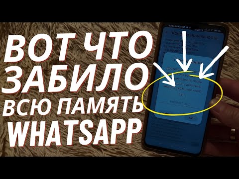 Как Очистить WhatsApp, Освобождаем Много Места от 1 Гб до 15Гб Кэш Ватсап. Очистка Вотсап 2024!