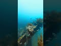 Another diving edit lol #fyp #foryou #dive