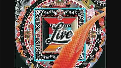 Live - The Dolphin's Cry