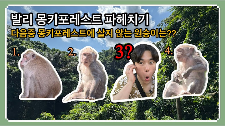 발리 우붓(Ubud) 몽키포레스트 체험해 보기 I (feat.원숭이 한마리 몰고 가세요~🐒)