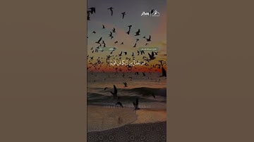 تلاوة مباركة من سورة الروم الآية 40 / القارئ: عبدالله القرافي وفقه الله