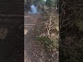 scream 3s w dzień #pyro #fireworks #petardy #polenböller #fireworks #loud #pyrotechnica #explosion
