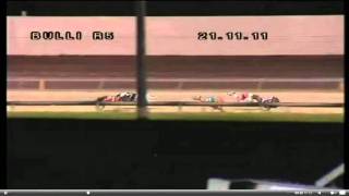 Bulli Race 5 21/11/2011