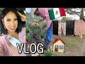 FUIMOS A LA CASA DONDE DANIEL CRECIO! (CASA DE MIS SUEGROS) + SE FUERON AL CERRO! 😍🇲🇽