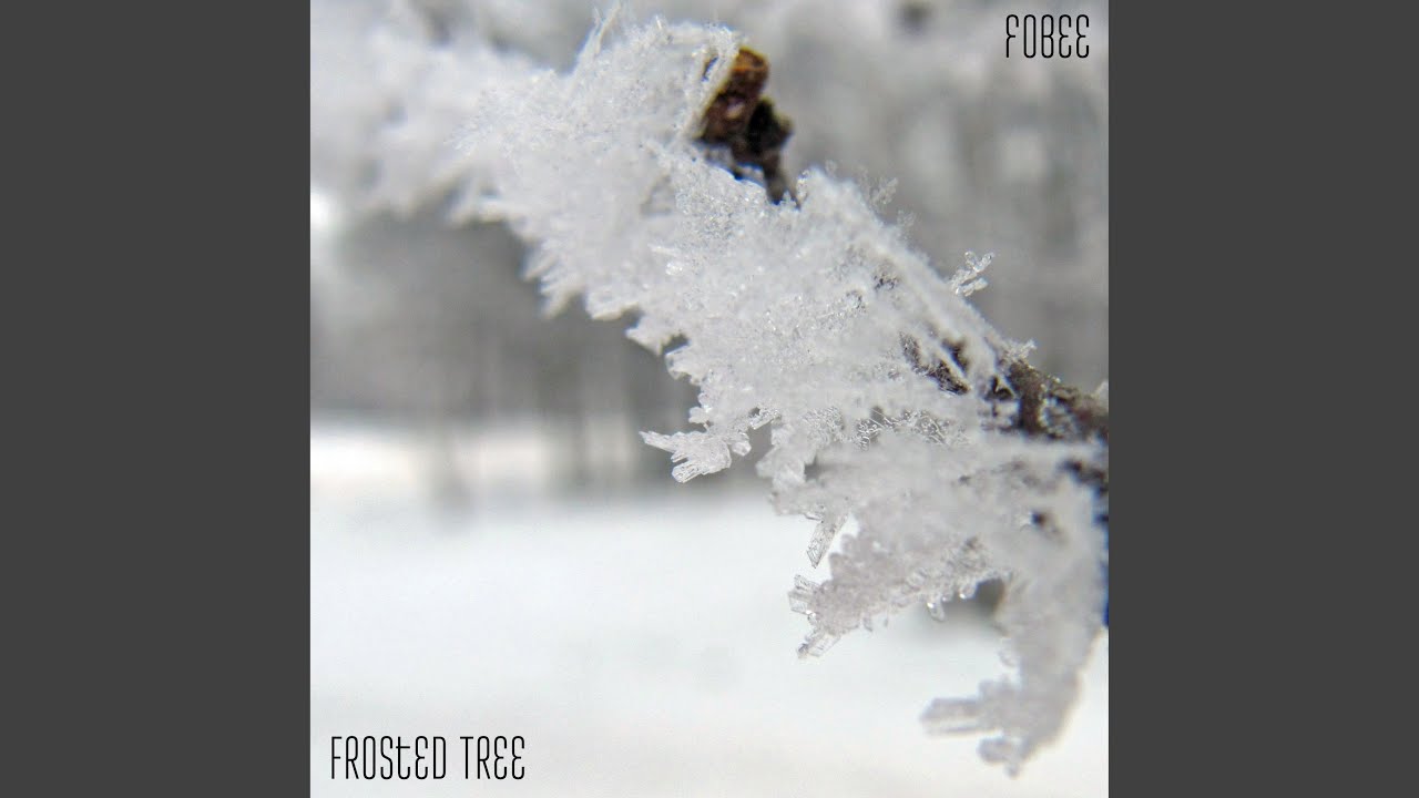 Watch Frosted Tree on YouTube Watch Frosted Tree on YouTube