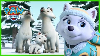 Die Welpen retten einen weißen Wolf - PAW Patrol Germany - Cartoons für Kinder by PAW Patrol Deutschland  5,934 views 1 month ago 2 minutes