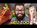 Mostrei TODOS os meus ANIMAIS de estimação