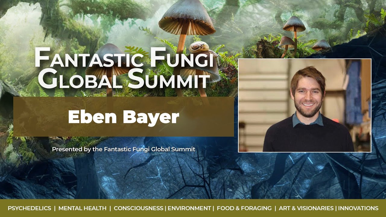 Nature Meets Innovation: An Interview with the Founder of "Evocative Design"