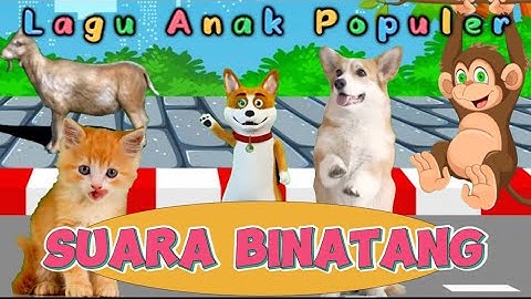 Lagu Populer Anak Viral Lagu SUARA BINATANG - KBeeb original song #suarabinatang