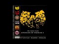 Wu-Tang Clan - Avengers of Shaolin 2 - Had the Burner