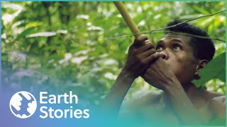 How Indigenous Tribes Live In Malaysia | Man Hunt | Earth Stories