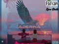 FaliconTz Aderina Official Video Truck 2 