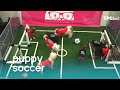 Tpc live puppies play soccer pup cup 2019  the pet collective