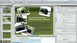 Adobe: Skin Editor in CP5.5