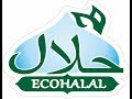 Trade house &quot;ECO Halal&quot;