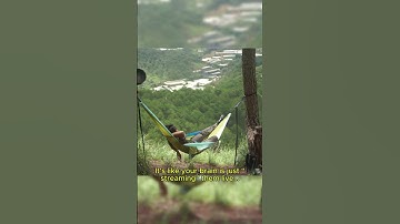 You Forget 90% of Your Dreams. Here’s Why! 😴