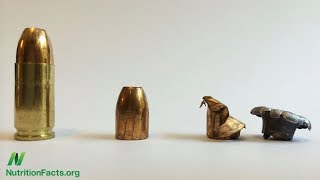 Lead Contamination in Fish and Game