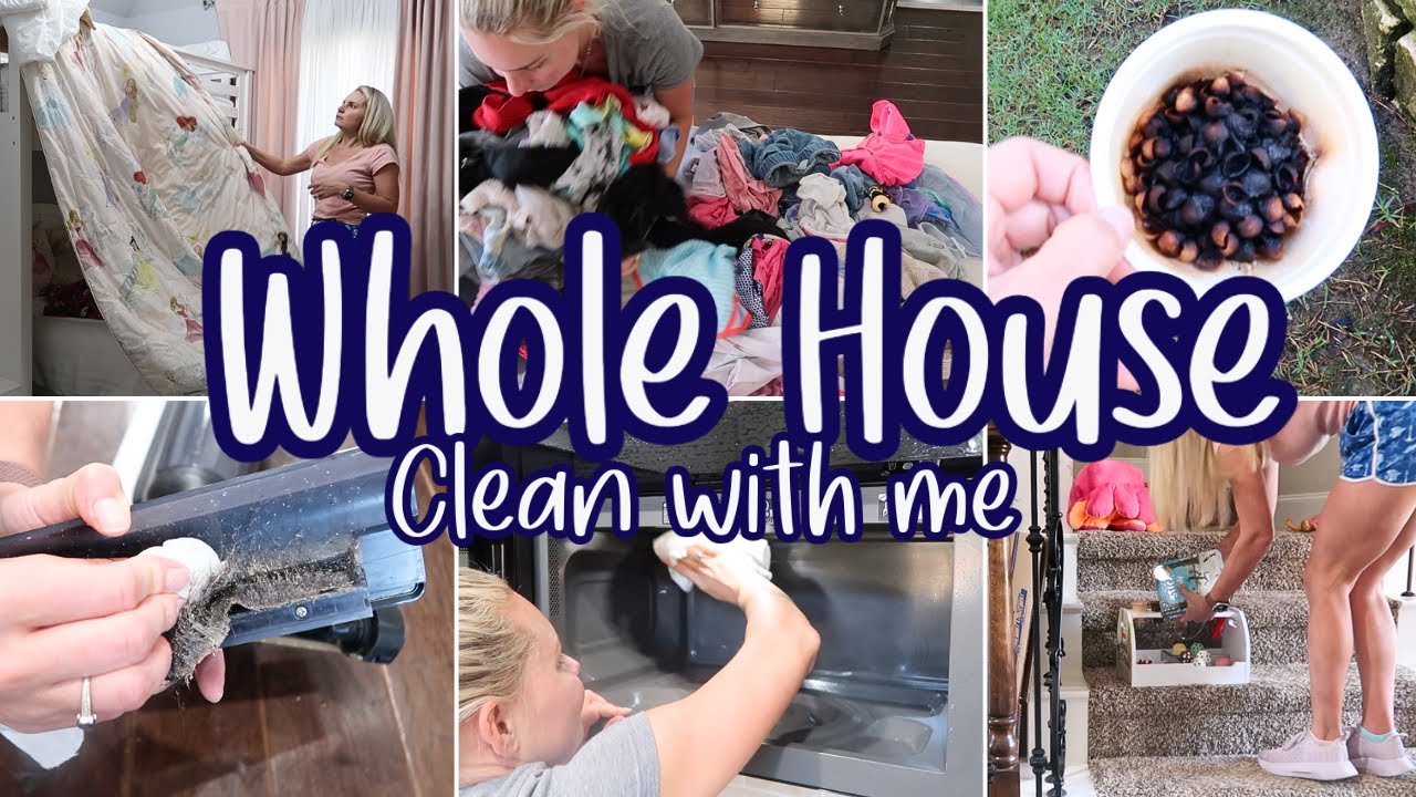 WHOLE HOUSE CLEAN WITH ME 2024 SPRING CLEANING MOTIVATION WHOLE whole-house-clean-with-me-2024-spring-cleaning-motivation-whole