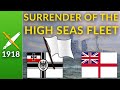 Britains triumph the surrender of the german high seas fleet