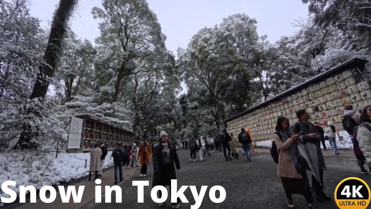 Snowy Tokyo Walk 🇯🇵❄️ Yoyogi Park → Meiji Shrine → Harajuku | Winter Afternoon Walk (4K)