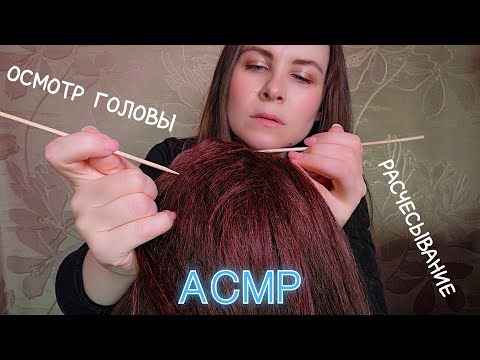 АСМР Трихолог Расчесывание Осмотр Головы Близкий Неразборчивый Шепот