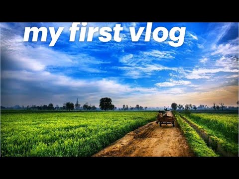 🙋My first vlog 😀my first vlog ♥️ my first village vlog by Creative_Shravan_2k
