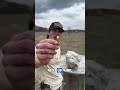 Can Stop a Bullet?🔫#BallisticsTest #BulletTest #GunExperiment #PhysicsInAction #Shooting#Outdoo