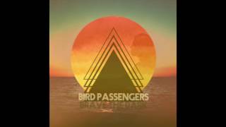 Video thumbnail of "Bird Passengers - Safely In"