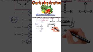 what are Carbohydratescarbohydrate biochemistry biomolecule glucose biology