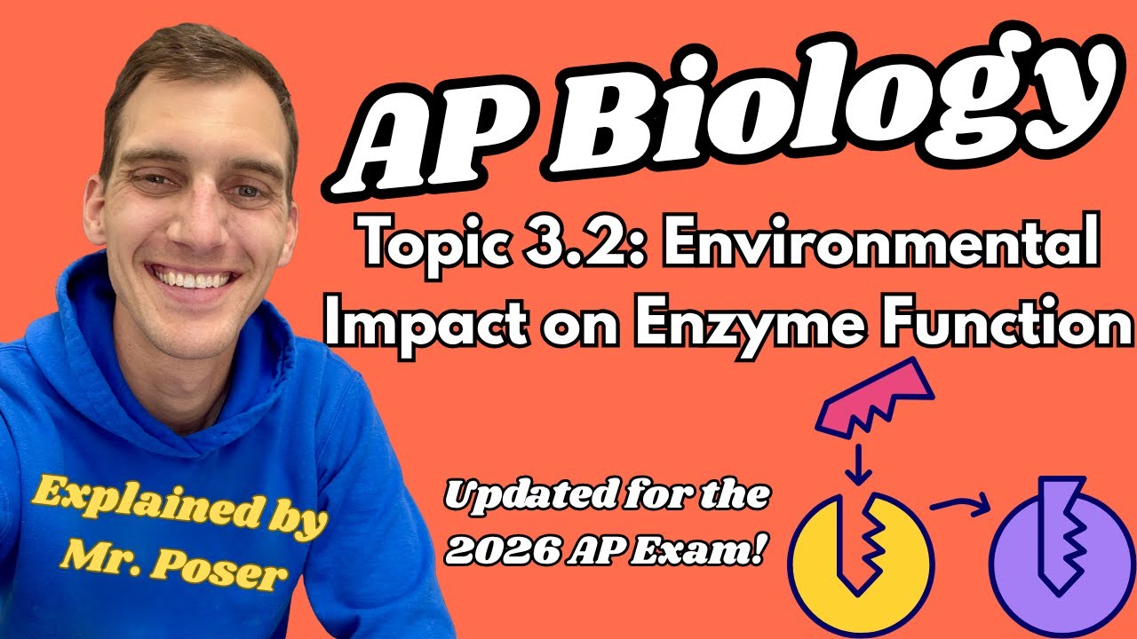 3.2 Environmental Impact on Enzyme Function - AP Biology (Updated 2025-2026)