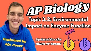 3.2 Environmental Impact on Enzyme Function - AP Biology (Updated 2025-2026)