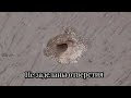 ЖК "Окские просторы" г. Рязань. Приёмка и экспертиза квартир в новостройках - 8-961-01-02-333