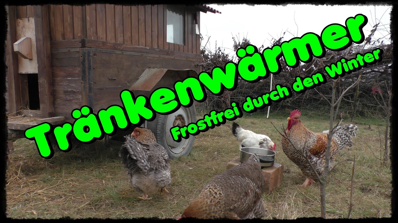 Pibumuse Wassererwärmer Für Hühnerstall – 15 Cm Silikon-Heizmatte, 20 W, Frostsicher, 1,8 M Kabel, Für Geflügel & Kleintiere