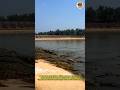 Crocodile Feeding Time at the Farm | Feeding Hungry Crocodiles in a Pond