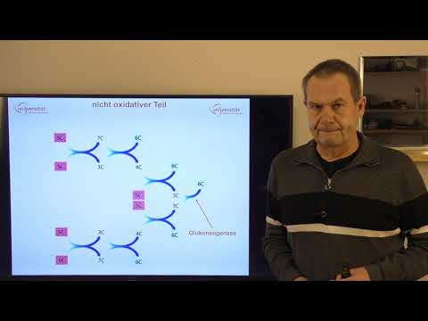 Video: Unterschied Zwischen Oxidativem Und Nichtoxidativem Pentosephosphatweg