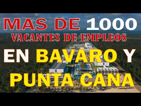 ¿Qué Debo Decir En La Feria De Empleo?