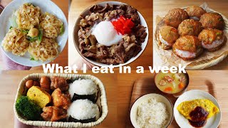 A week of meals | made bentos after long time and went to picnic  | Japanese