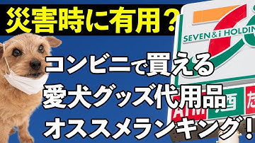 【災害時に役立つ！】コンビニで買える愛犬グッズ代用品！！ランキング！！松本秀樹がまさはるとご紹介！-予告-「飛行機」