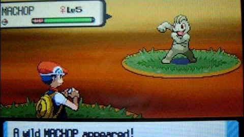 Shiny Machop (1 of 8) pokeradar chain 7 pokemon diamond, 1 in 1170 odds of finding it.