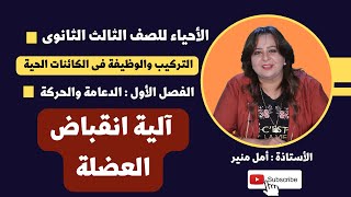 الأحياء للصف الثالث الثانوي |  آلية انقباض العضلة