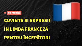 Cuvinte și fraze in limba franceză pentru începători. Învață limba franceză ascultând muzică.