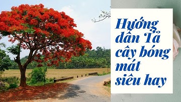 Tả cây bóng mát hay nhất lớp 4, 5