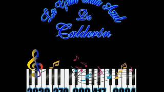 Video thumbnail of "Amor y Vida - La Gran Onda Azul de Calderón"